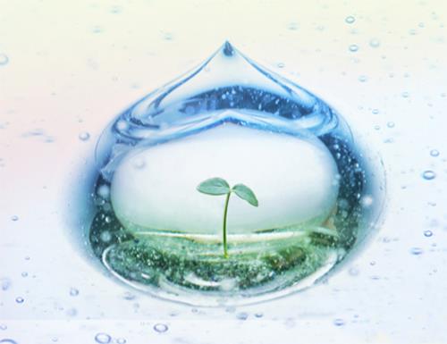 Phát động Tuần lễ Quốc gia Nước sạch và vệ sinh môi trường 2025